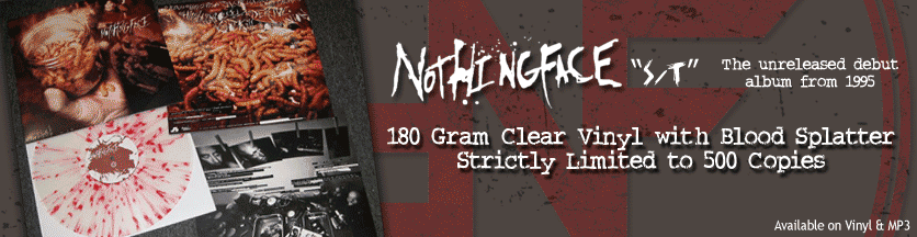 nothingface banner